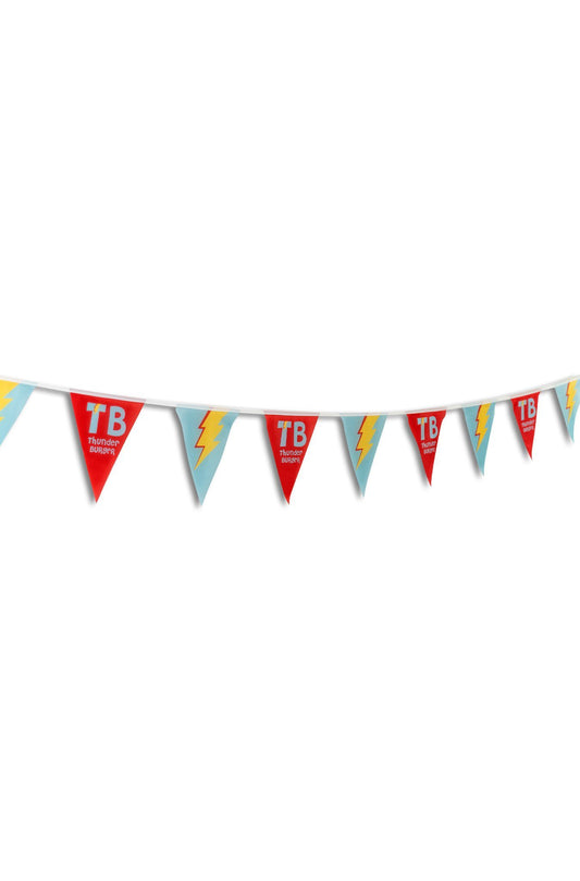 Custom Pennant String Flags 10M8010086