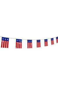 American Flag Pennants 10M8010092